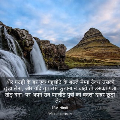 Picture 03 - निर्गमन 13:13 HINIRV - और गदही के हर एक - Bible Verse Picture