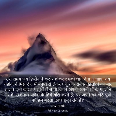 Picture 03 - निर्गमन 13:15 HINIRV - उस समय जब फ़िरौन ने - Bible Verse Picture