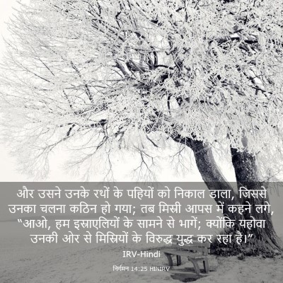 Picture 03 - निर्गमन 14:25 HINIRV - और उसने उनके रथों - Bible Verse Picture