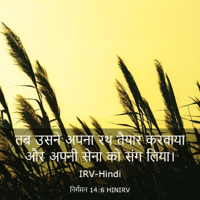 Picture 03 - निर्गमन 14:6 HINIRV - तब उसने अपना रथ - Bible Verse Picture