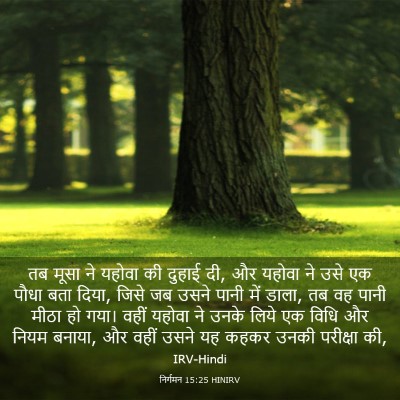 Picture 03 - निर्गमन 15:25 HINIRV - तब मूसा ने यहोवा की - Bible Verse Picture
