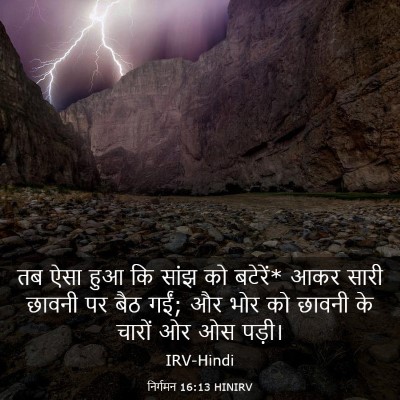 Picture 03 - निर्गमन 16:13 HINIRV - तब ऐसा हुआ कि सांझ - Bible Verse Picture