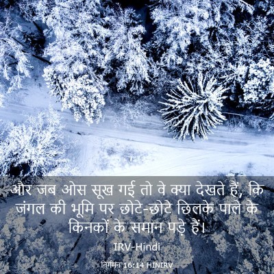 Picture 03 - निर्गमन 16:14 HINIRV - और जब ओस सूख गई तो - Bible Verse Picture