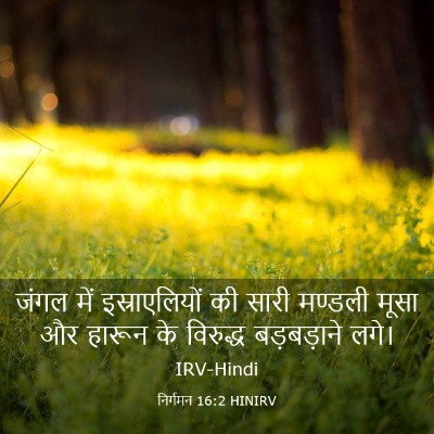 Picture 03 - निर्गमन 16:2 HINIRV - जंगल में - Bible Verse Picture