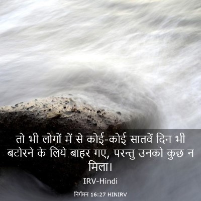 Picture 03 - निर्गमन 16:27 HINIRV - तो भी लोगों में से - Bible Verse Picture