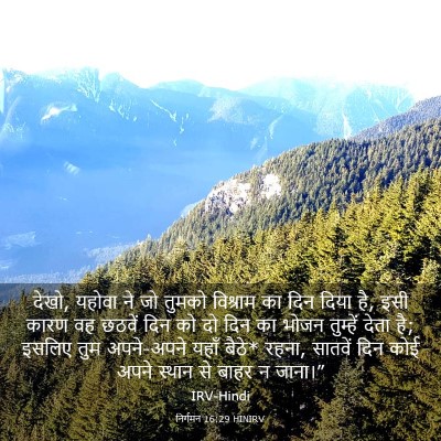 Picture 03 - निर्गमन 16:29 HINIRV - देखो, यहोवा ने जो - Bible Verse Picture