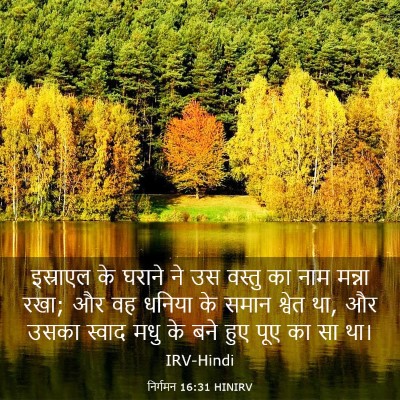 Picture 03 - निर्गमन 16:31 HINIRV - इस्राएल के घराने - Bible Verse Picture