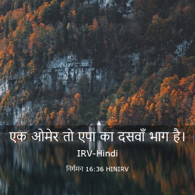 Picture 03 - निर्गमन 16:36 HINIRV - एक ओमेर तो एपा का - Bible Verse Picture