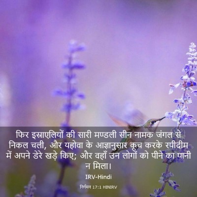 Picture 03 - निर्गमन 17:1 HINIRV - फिर इस्राएलियों - Bible Verse Picture