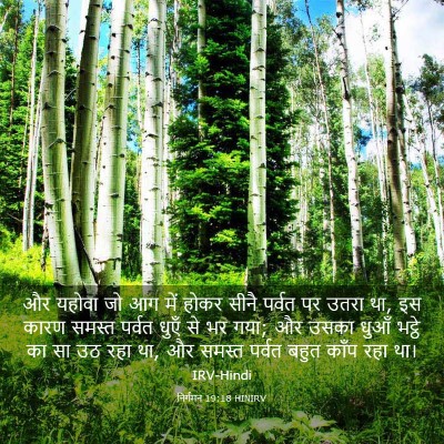 Picture 03 - निर्गमन 19:18 HINIRV - और यहोवा जो आग में - Bible Verse Picture