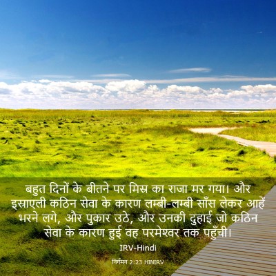 Picture 03 - निर्गमन 2:23 HINIRV - बहुत दिनों के - Bible Verse Picture