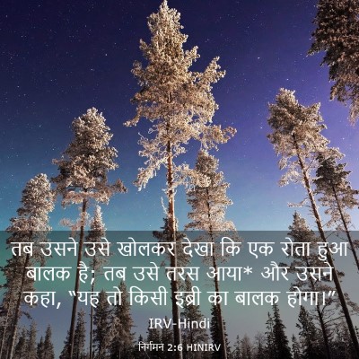 Picture 03 - निर्गमन 2:6 HINIRV - तब उसने उसे खोलकर - Bible Verse Picture