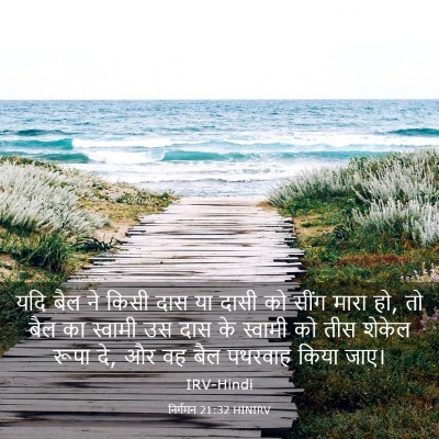 Picture 03 - निर्गमन 21:32 HINIRV - यदि बैल ने किसी दास - Bible Verse Picture