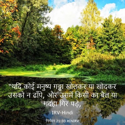 Picture 03 - निर्गमन 21:33 HINIRV - “यदि कोई मनुष्य - Bible Verse Picture