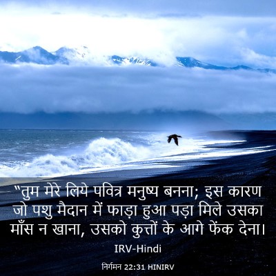 Picture 03 - निर्गमन 22:31 HINIRV - “तुम मेरे लिये - Bible Verse Picture