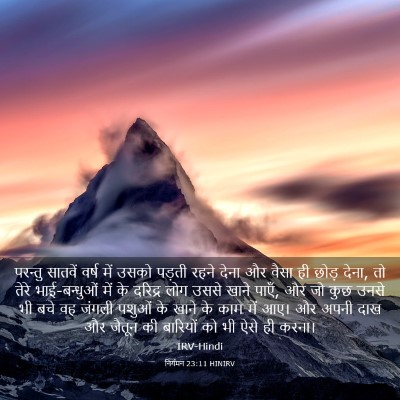Picture 03 - निर्गमन 23:11 HINIRV - परन्तु सातवें - Bible Verse Picture