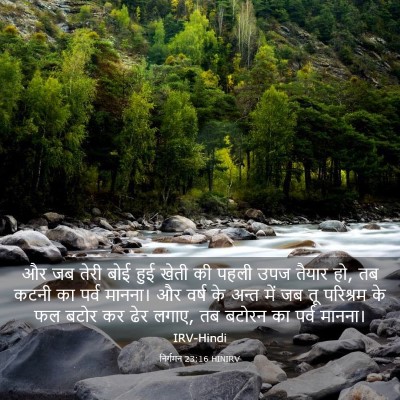 Picture 03 - निर्गमन 23:16 HINIRV - और जब तेरी बोई हुई - Bible Verse Picture