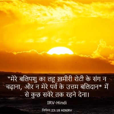 Picture 03 - निर्गमन 23:18 HINIRV - “मेरे बलिपशु का - Bible Verse Picture