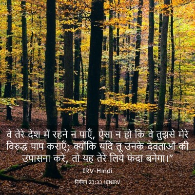 Picture 03 - निर्गमन 23:33 HINIRV - वे तेरे देश में - Bible Verse Picture