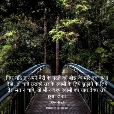 Picture 03 - निर्गमन 23:5 HINIRV - फिर यदि तू अपने - Bible Verse Picture