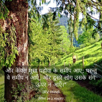 Picture 03 - निर्गमन 24:2 HINIRV - और केवल मूसा यहोवा - Bible Verse Picture