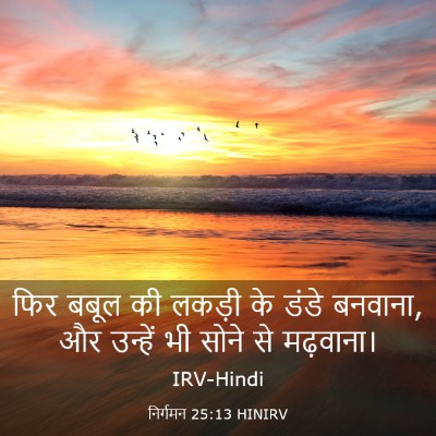 Picture 03 - निर्गमन 25:13 HINIRV - फिर बबूल की लकड़ी - Bible Verse Picture