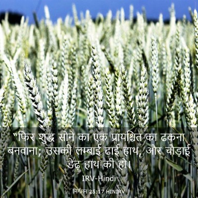 Picture 03 - निर्गमन 25:17 HINIRV - “फिर शुद्ध सोने का - Bible Verse Picture