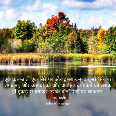 Picture 03 - निर्गमन 25:19 HINIRV - एक करूब तो एक सिरे - Bible Verse Picture