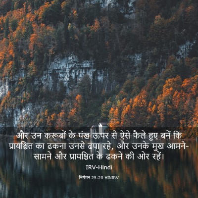 Picture 03 - निर्गमन 25:20 HINIRV - और उन करूबों के पंख - Bible Verse Picture