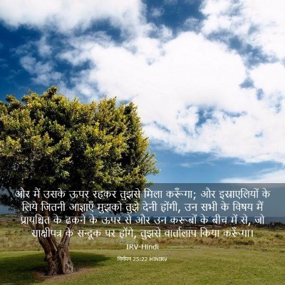 Picture 03 - निर्गमन 25:22 HINIRV - और मैं उसके ऊपर - Bible Verse Picture