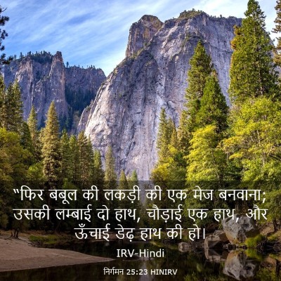 Picture 03 - निर्गमन 25:23 HINIRV - “फिर बबूल की लकड़ी - Bible Verse Picture
