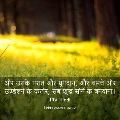 Picture 03 - निर्गमन 25:29 HINIRV - और उसके परात और - Bible Verse Picture