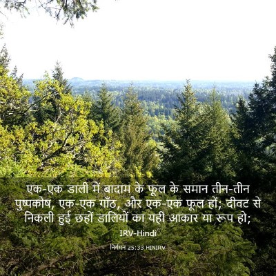 Picture 03 - निर्गमन 25:33 HINIRV - एक-एक डाली में - Bible Verse Picture