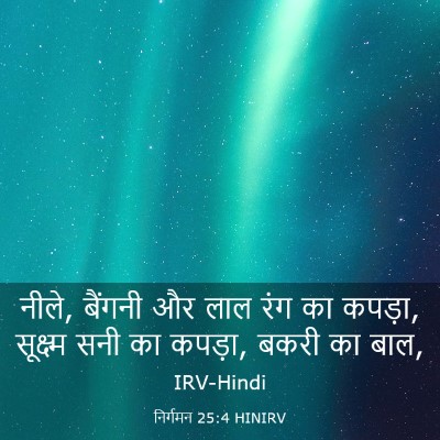 Picture 03 - निर्गमन 25:4 HINIRV - नीले, बैंगनी और लाल - Bible Verse Picture