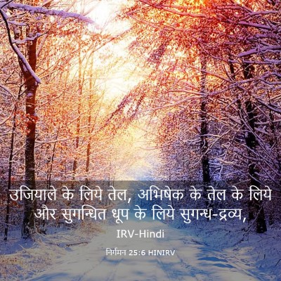 Picture 03 - निर्गमन 25:6 HINIRV - उजियाले के लिये - Bible Verse Picture