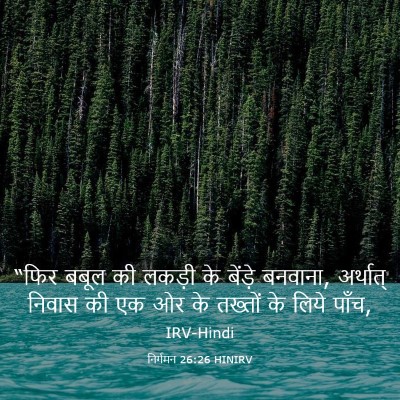 Picture 03 - निर्गमन 26:26 HINIRV - “फिर बबूल की लकड़ी - Bible Verse Picture