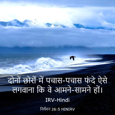 Picture 03 - निर्गमन 26:5 HINIRV - दोनों छोरों में - Bible Verse Picture
