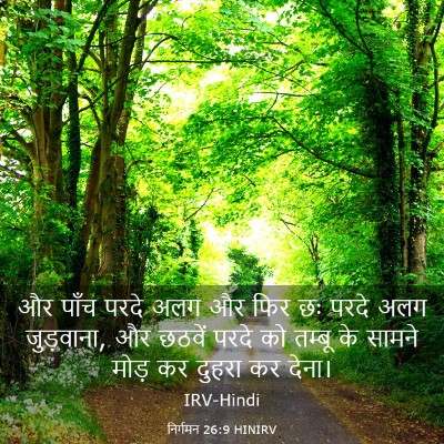 Picture 03 - निर्गमन 26:9 HINIRV - और पाँच परदे अलग और - Bible Verse Picture