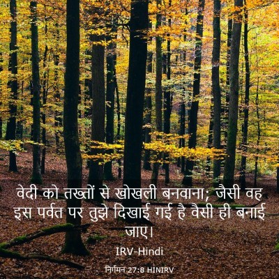 Picture 03 - निर्गमन 27:8 HINIRV - वेदी को तख्तों से - Bible Verse Picture