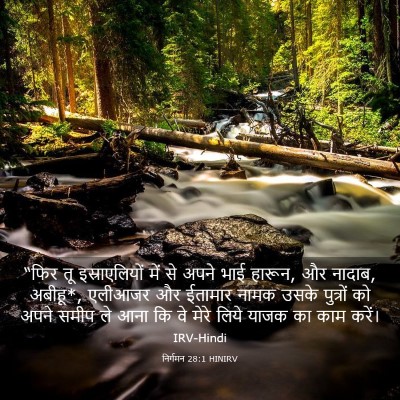 Picture 03 - निर्गमन 28:1 HINIRV - “फिर तू - Bible Verse Picture