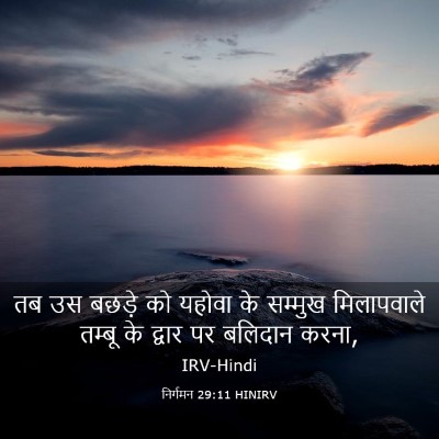Picture 03 - निर्गमन 29:11 HINIRV - तब उस बछड़े को - Bible Verse Picture
