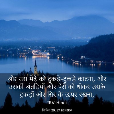 Picture 03 - निर्गमन 29:17 HINIRV - और उस मेढ़े को - Bible Verse Picture