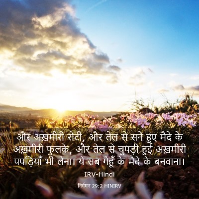 Picture 03 - निर्गमन 29:2 HINIRV - और अख़मीरी रोटी, और - Bible Verse Picture