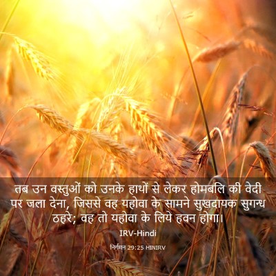 Picture 03 - निर्गमन 29:25 HINIRV - तब उन वस्तुओं को - Bible Verse Picture