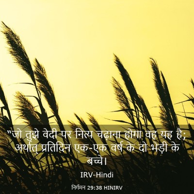 Picture 03 - निर्गमन 29:38 HINIRV - “जो तुझे वेदी पर - Bible Verse Picture