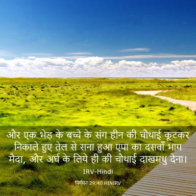 Picture 03 - निर्गमन 29:40 HINIRV - और एक भेड़ के बच्चे - Bible Verse Picture