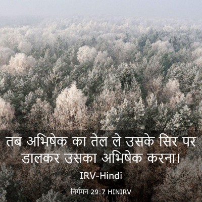 Picture 03 - निर्गमन 29:7 HINIRV - तब अभिषेक का तेल ले - Bible Verse Picture