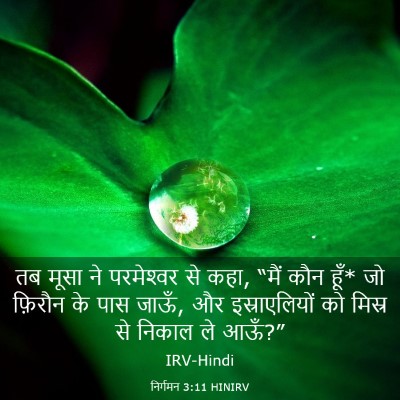 Picture 03 - निर्गमन 3:11 HINIRV - तब मूसा ने - Bible Verse Picture
