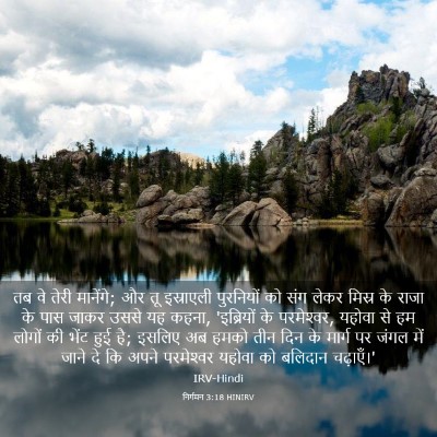 Picture 03 - निर्गमन 3:18 HINIRV - तब वे तेरी मानेंगे; - Bible Verse Picture