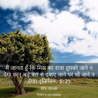 Picture 03 - निर्गमन 3:19 HINIRV - मैं जानता हूँ कि - Bible Verse Picture